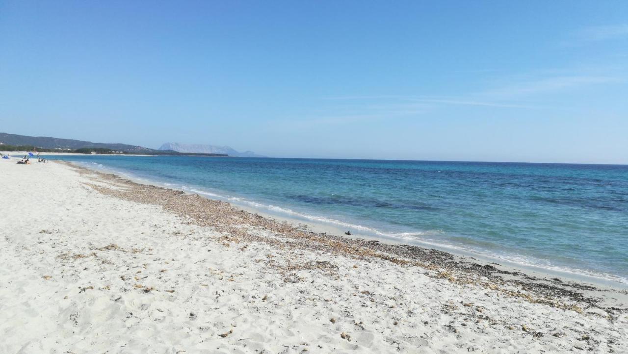 A Lu Ponti Bed and Breakfast Budoni Εξωτερικό φωτογραφία