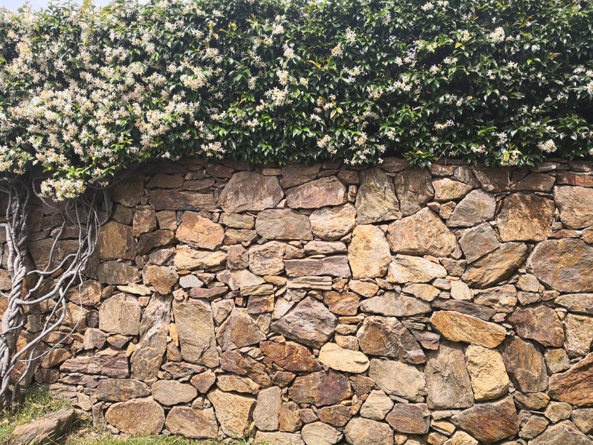 A Lu Ponti Bed and Breakfast Budoni Εξωτερικό φωτογραφία